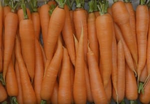 Позаботьтесь о том, чтобы выбрать самую лучшую морковь для приготовления морковного торта в мультиварке.